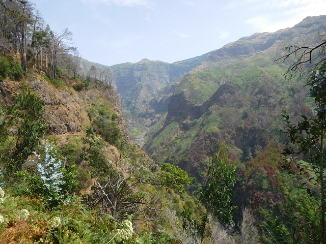 12 August 2015 morning, new Levada Nova in the Ponta do Sol valley — Back to the starting point — photo 1