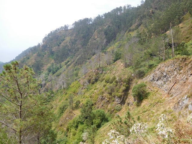 12 August 2015 morning, new Levada Nova in the Ponta do Sol valley — Back to the starting point — photo 5
