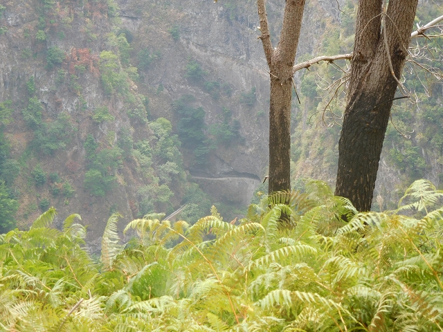 12 August 2015 morning, new Levada Nova in the Ponta do Sol valley — Back to the starting point — photo 9
