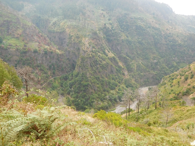 12 August 2015 morning, new Levada Nova in the Ponta do Sol valley — Back to the starting point — photo 11