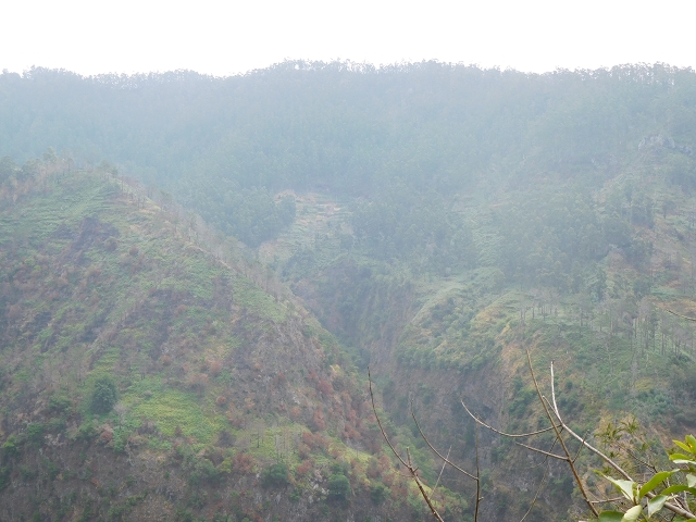 12 August 2015 morning, new Levada Nova in the Ponta do Sol valley — Back to the starting point — photo 12