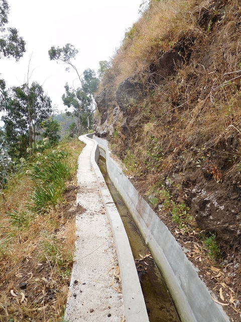 12 August 2015 morning, new Levada Nova in the Ponta do Sol valley — Back to the starting point — photo 15