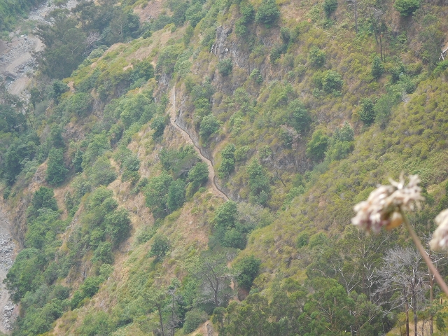 12 August 2015 morning, new Levada Nova in the Ponta do Sol valley — Back to the starting point — photo 17