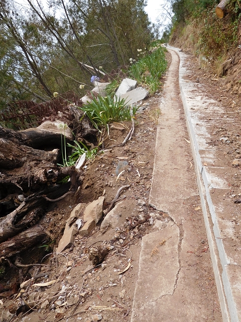 12 August 2015 morning, new Levada Nova in the Ponta do Sol valley — Back to the starting point — photo 18
