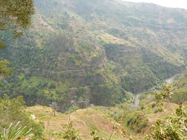 12 August 2015 morning, new Levada Nova in the Ponta do Sol valley — Back to the starting point — photo 19