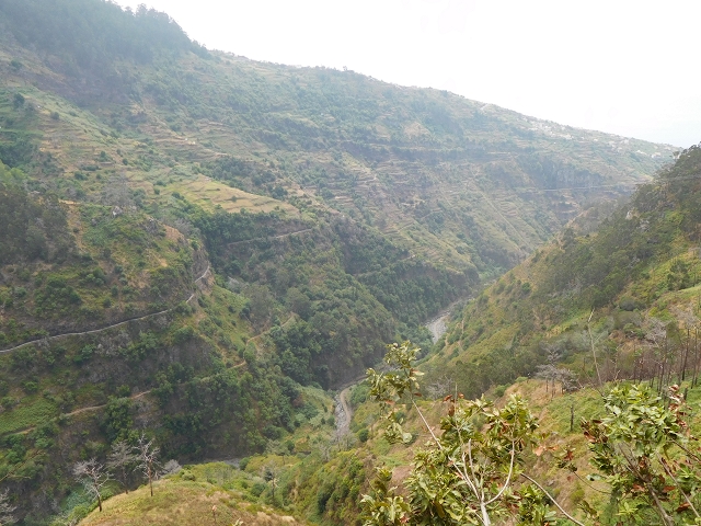 12 August 2015 morning, new Levada Nova in the Ponta do Sol valley — Back to the starting point — photo 20