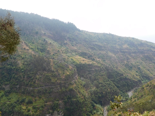 12 August 2015 morning, new Levada Nova in the Ponta do Sol valley — Back to the starting point — photo 21