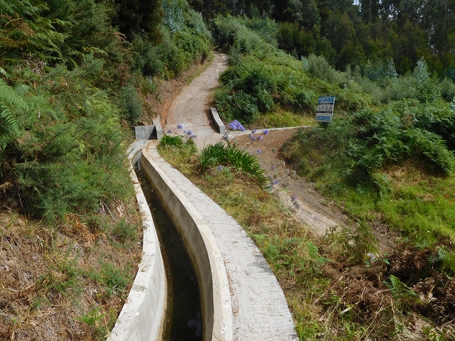 12 August 2015 morning, new Levada Nova in the Ponta do Sol valley — From Covas to the end — photo 5