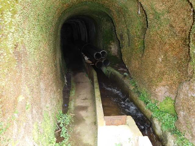 12 August 2015 morning, new Levada Nova in the Ponta do Sol valley — Reservatorio das Rabacas — photo 8