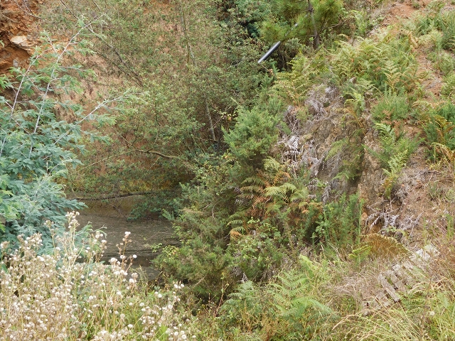 12 August 2015 morning, new Levada Nova in the Ponta do Sol valley — Reservatorio das Rabacas — photo 6