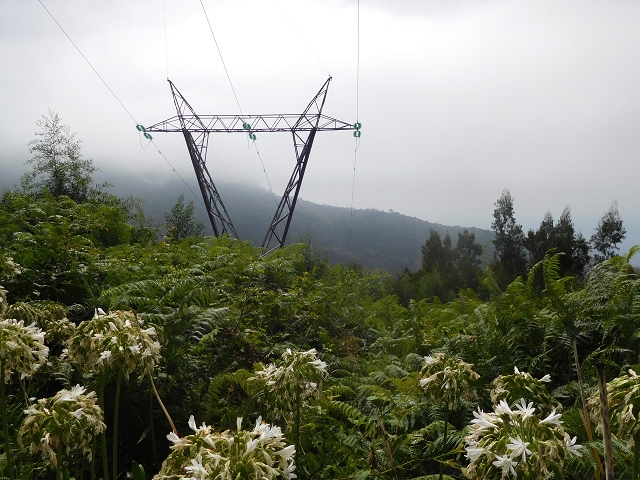 12 August 2015 morning, new Levada Nova in the Ponta do Sol valley — From Covas to the end — photo 6