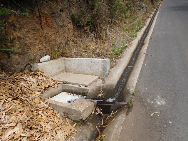 12 August 2015 morning, new Levada Nova in the Ponta do Sol valley — Reservatorio das Rabacas — photo 7