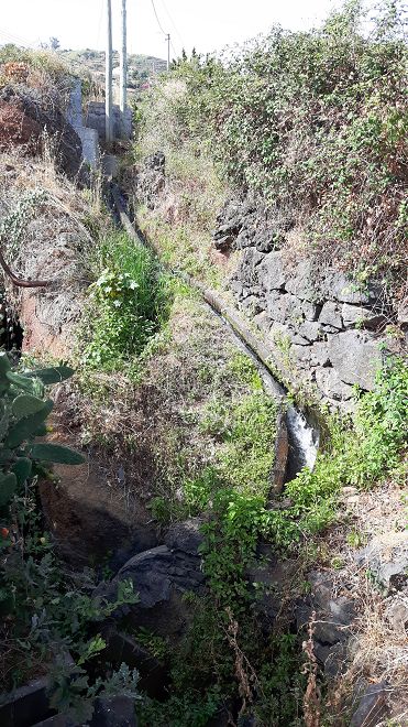 12 de agosto de 2017 Volta de aquecimento no trilho do Caniço em redor de Reis Magos e Assomada — Cruzamento da ER-204 com a Levada dos Zimbreiros — foto 1