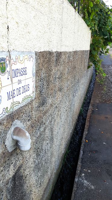 Levada do Pico do Arvoredo — Weiter bis Reis Magos — Foto 7
