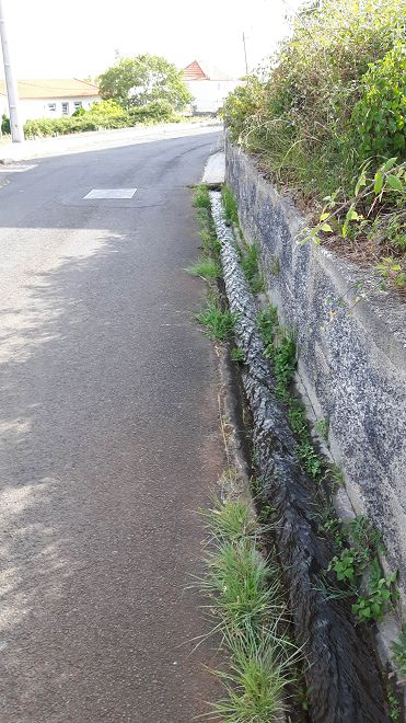 12 de agosto de 2017 Volta de aquecimento no trilho do Caniço em redor de Reis Magos e Assomada — Ao longo da Levada dos Zimbreiros até Reis Magos — foto 2