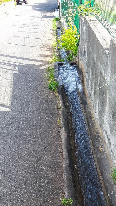 12 de agosto de 2017 Volta de aquecimento no trilho do Caniço em redor de Reis Magos e Assomada — Ao longo da Levada dos Zimbreiros até Reis Magos — foto 3