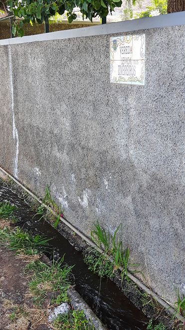 12 de agosto de 2017 Volta de aquecimento no trilho do Caniço em redor de Reis Magos e Assomada — Ao longo da Levada dos Zimbreiros até Reis Magos — foto 4