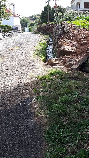 Levada do Pico do Arvoredo — Weiter bis Reis Magos — Foto 10
