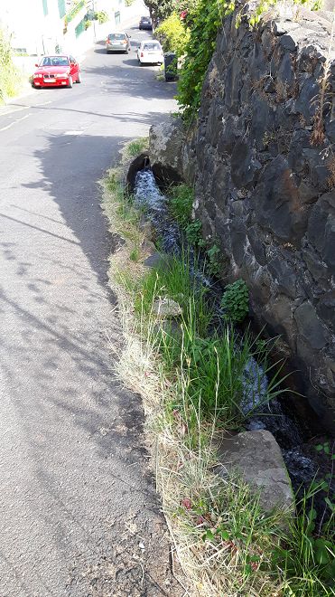 12 de agosto de 2017 Volta de aquecimento no trilho do Caniço em redor de Reis Magos e Assomada — Ao longo da Levada dos Zimbreiros até Reis Magos — foto 7