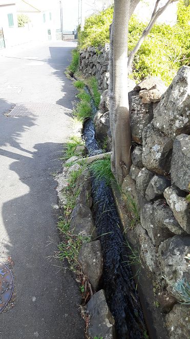 Levada do Pico do Arvoredo — Weiter bis Reis Magos — Foto 11