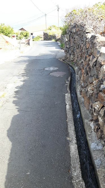 12 de agosto de 2017 Volta de aquecimento no trilho do Caniço em redor de Reis Magos e Assomada — Ao longo da Levada dos Zimbreiros até Reis Magos — foto 9