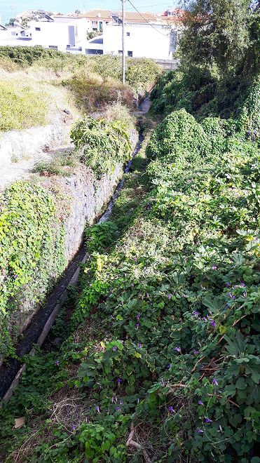 Levada do Pico do Arvoredo — Kreuzung mit der ER-204 — Foto 4