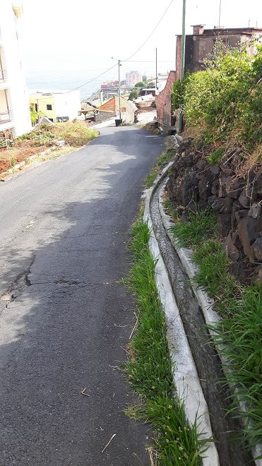 Levada do Pico do Arvoredo — Weiter bis Reis Magos — Foto 12