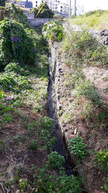 Levada do Pico do Arvoredo — Weiter bis Reis Magos — Foto 1