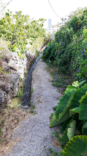 Levada do Pico do Arvoredo — Kreuzung mit der ER-204 — Foto 2