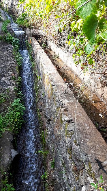 Levada do Pico do Arvoredo — Weiter bis Reis Magos — Foto 3