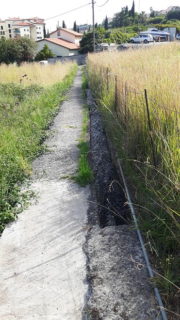 Levada do Pico do Arvoredo — Weiter bis Reis Magos — Foto 5