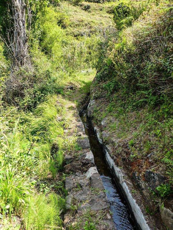13.05.2019 Ein neuer Aufstieg von Meia Legua nach Eira do Mourao, und die Rätsel der s der Levadas de Baixo und Meio — Até à Madre da Levada de Baixo — foto 4