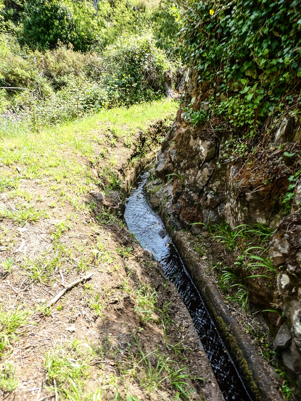 13.05.2019 Ein neuer Aufstieg von Meia Legua nach Eira do Mourao, und die Rätsel der s der Levadas de Baixo und Meio — Até à Madre da Levada de Baixo — foto 5