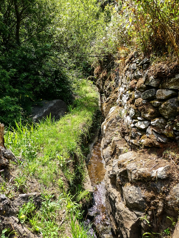 13.05.2019 Ein neuer Aufstieg von Meia Legua nach Eira do Mourao, und die Rätsel der s der Levadas de Baixo und Meio — Até à Madre da Levada de Baixo — foto 6