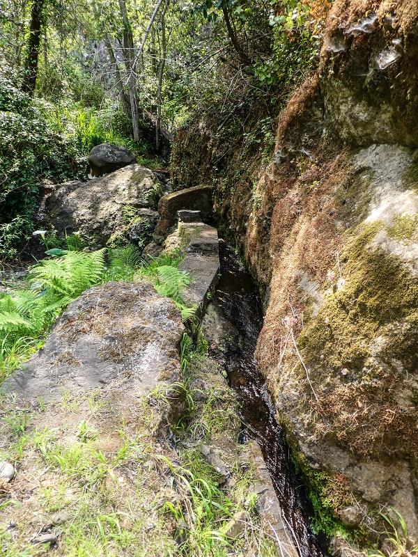 13.05.2019 Ein neuer Aufstieg von Meia Legua nach Eira do Mourao, und die Rätsel der s der Levadas de Baixo und Meio — Até à Madre da Levada de Baixo — foto 7