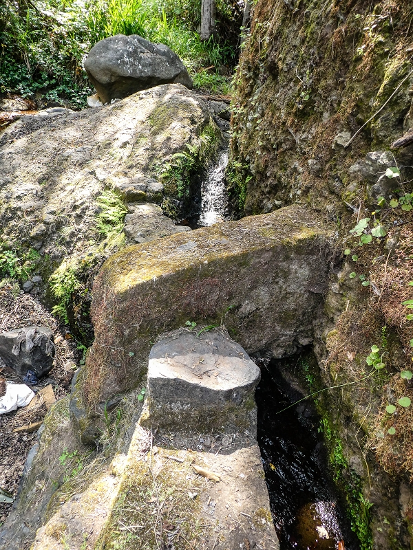 13.05.2019 Ein neuer Aufstieg von Meia Legua nach Eira do Mourao, und die Rätsel der s der Levadas de Baixo und Meio — Até à Madre da Levada de Baixo — foto 8