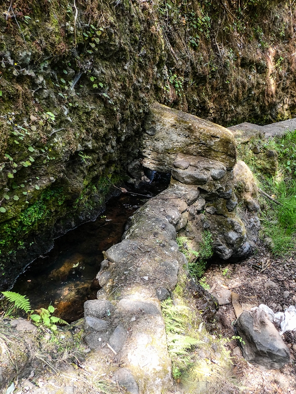 13.05.2019 Ein neuer Aufstieg von Meia Legua nach Eira do Mourao, und die Rätsel der s der Levadas de Baixo und Meio — Até à Madre da Levada de Baixo — foto 10