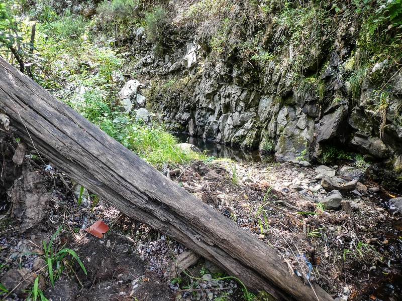 13.05.2019 Ein neuer Aufstieg von Meia Legua nach Eira do Mourao, und die Rätsel der s der Levadas de Baixo und Meio — Seguindo até à casa da nascente — foto 2