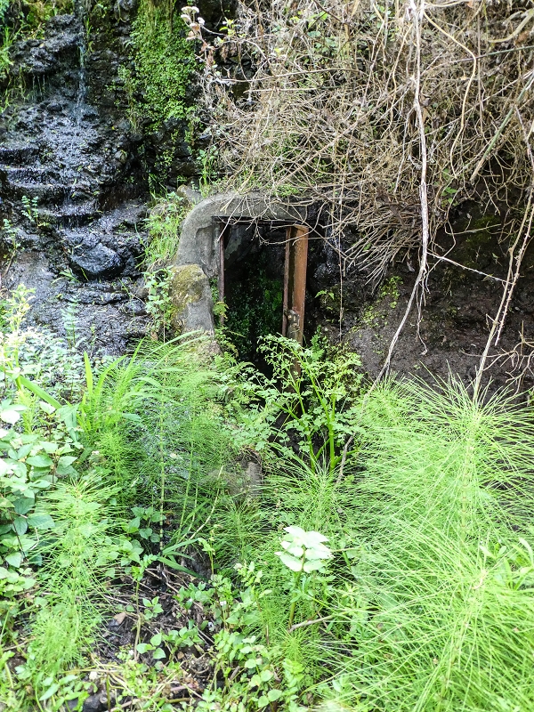 Levada de Baixo — Die Rätselhafte Quelle oberhalb der Madre und die Levadinha de Baixo superior — Foto 5