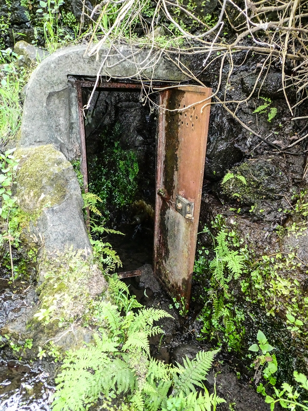 13.05.2019 Ein neuer Aufstieg von Meia Legua nach Eira do Mourao, und die Rätsel der s der Levadas de Baixo und Meio — Seguindo até à casa da nascente — foto 6