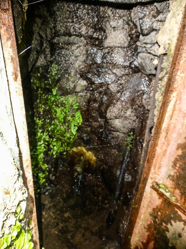 13.05.2019 Ein neuer Aufstieg von Meia Legua nach Eira do Mourao, und die Rätsel der s der Levadas de Baixo und Meio — Seguindo até à casa da nascente — foto 7