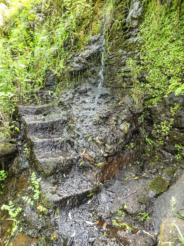 13.05.2019 Ein neuer Aufstieg von Meia Legua nach Eira do Mourao, und die Rätsel der s der Levadas de Baixo und Meio — Os degraus de subida — foto 3