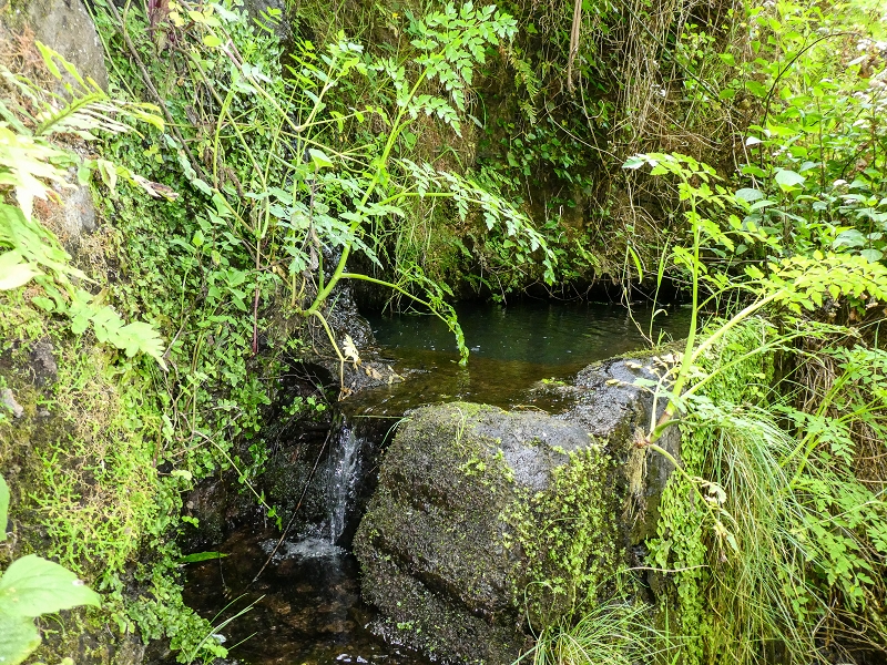 13.05.2019 Ein neuer Aufstieg von Meia Legua nach Eira do Mourao, und die Rätsel der s der Levadas de Baixo und Meio — A Levadinha de Baixo superior — foto 1