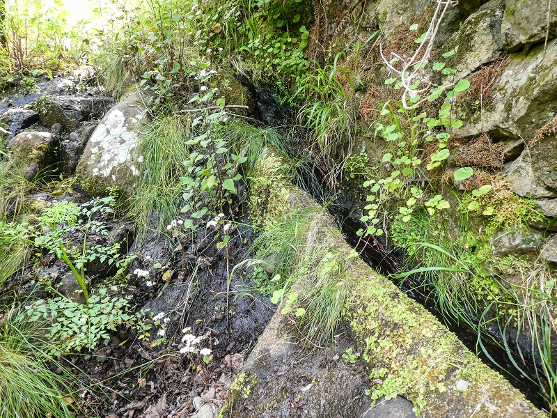 Levada de Baixo — Die Rätselhafte Quelle oberhalb der Madre und die Levadinha de Baixo superior — Foto 1