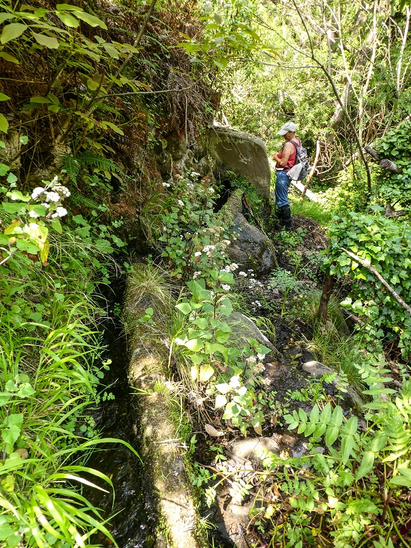 Levada de Baixo — Die Rätselhafte Quelle oberhalb der Madre und die Levadinha de Baixo superior — Foto 2