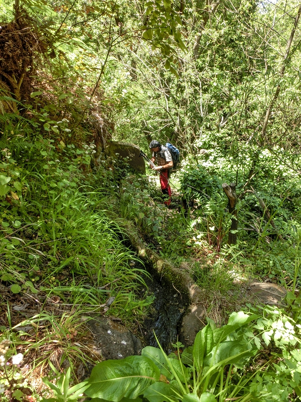 13.05.2019 Ein neuer Aufstieg von Meia Legua nach Eira do Mourao, und die Rätsel der s der Levadas de Baixo und Meio — A Levadinha de Baixo superior — foto 5