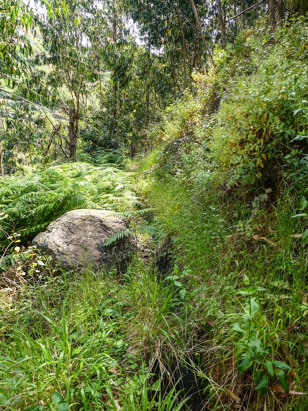 13.05.2019 Ein neuer Aufstieg von Meia Legua nach Eira do Mourao, und die Rätsel der s der Levadas de Baixo und Meio — Levada do Meio — foto 5