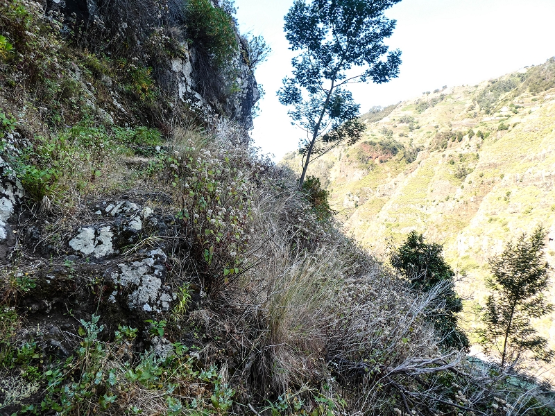 13.05.2019 Ein neuer Aufstieg von Meia Legua nach Eira do Mourao, und die Rätsel der s der Levadas de Baixo und Meio — Subida de Meia Legua até ao troço com corda — foto 15