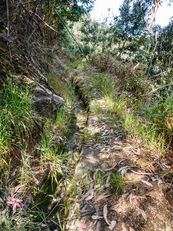13.05.2019 Ein neuer Aufstieg von Meia Legua nach Eira do Mourao, und die Rätsel der s der Levadas de Baixo und Meio — Levada do Meio — foto 7