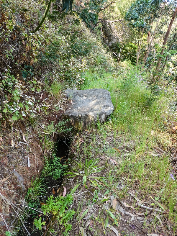 13.05.2019 Ein neuer Aufstieg von Meia Legua nach Eira do Mourao, und die Rätsel der s der Levadas de Baixo und Meio — Levada do Meio — foto 9